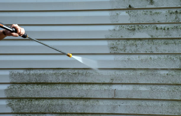 Best Toxic Mold Removal  in Mount Vernon, OH