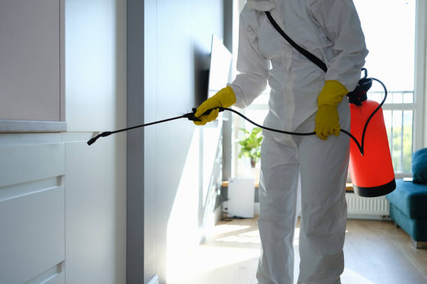 Best Commercial Mold Removal  in Mount Vernon, OH