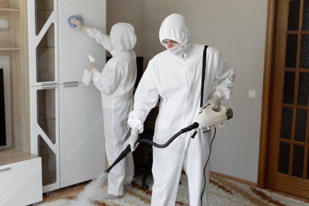 Best Toxic Mold Removal  in Mount Vernon, OH