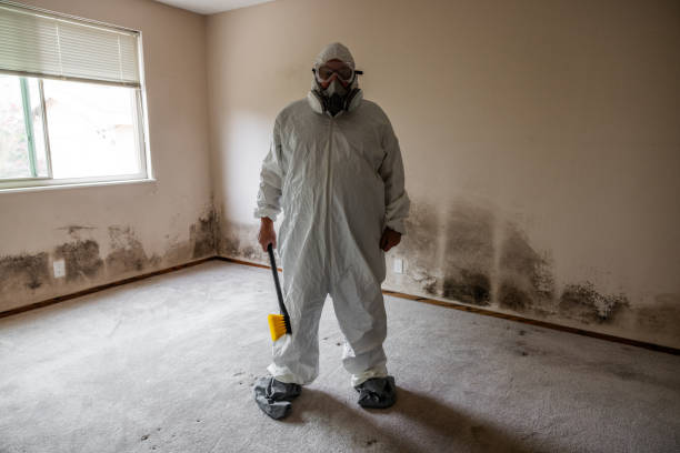 Best Mold Cleaning Services  in Mount Vernon, OH